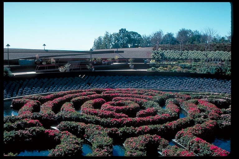 Central Garden,view of pool and maze 