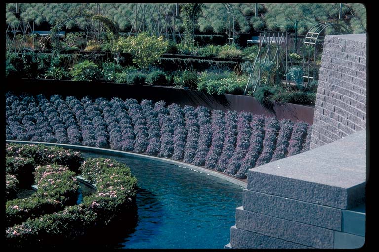 Central Garden,detail view of pool 
