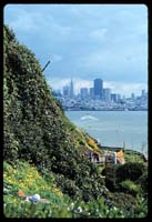Hillside, Alcatraz, with View of San Francisco