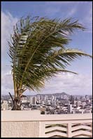 Punchbowl, view of Honolulu