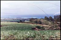 Upcountry, view to north