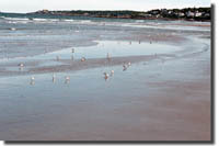 Ogunquit Beach