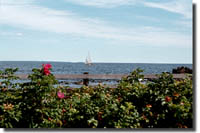 Sailboat from Marginal Way