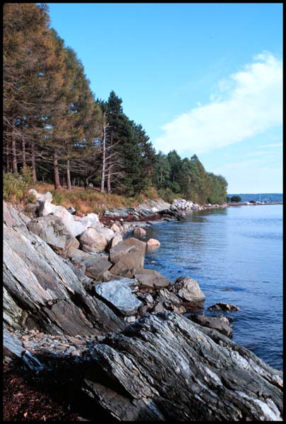 Frenchman's Bay from Lamoine