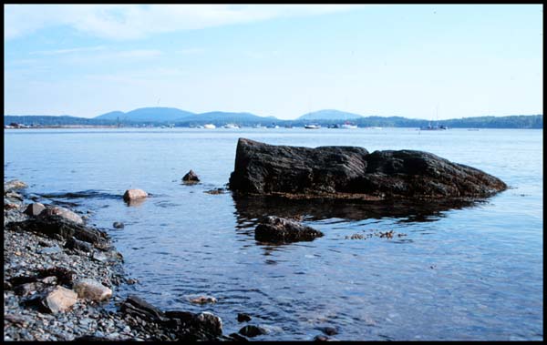 Frenchman's Bay from Lamoine