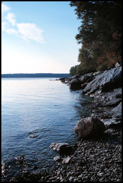 Frenchman's Bay from Lamoine
