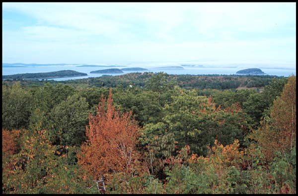 View of islands from Acadia