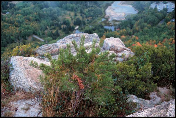 View from the Beehive, Acadia; Photo by J.Giannini