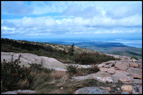 View from Cadillac Mountain