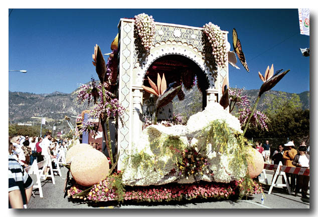 roseparade-09