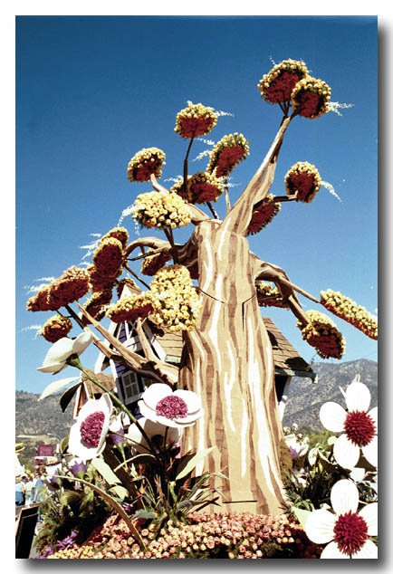 roseparade-14