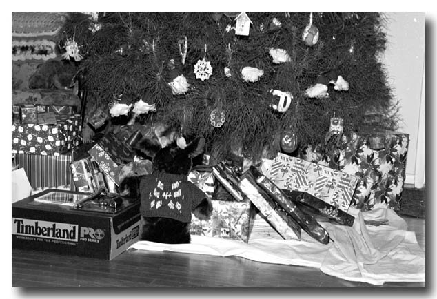 xmas02-02