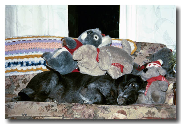 xmas02-04