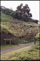 West Maui Backside