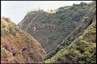 West Maui Backside