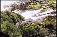 Contemporary Museum, Honolulu