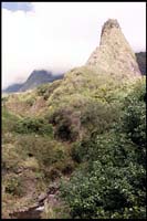 Iao Valley