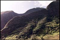 Iao Valley