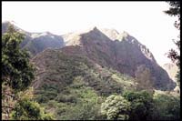 Iao Valley