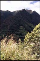 Iao Valley