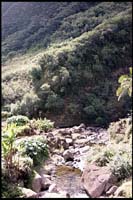 Iao Valley