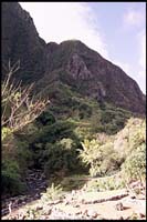 Iao Valley